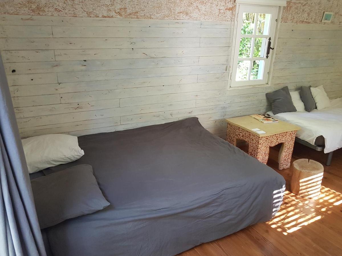 Maison D'Hotes Le Calme Saint-Tropez Dış mekan fotoğraf